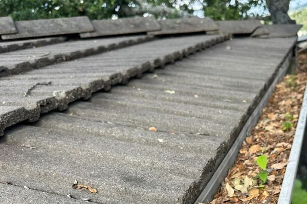 Gutter Cleaning Gutter Cleaning