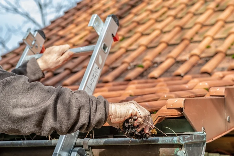 How Gutter Cleaning Protects Your Home From Structural Issues Manor, TX