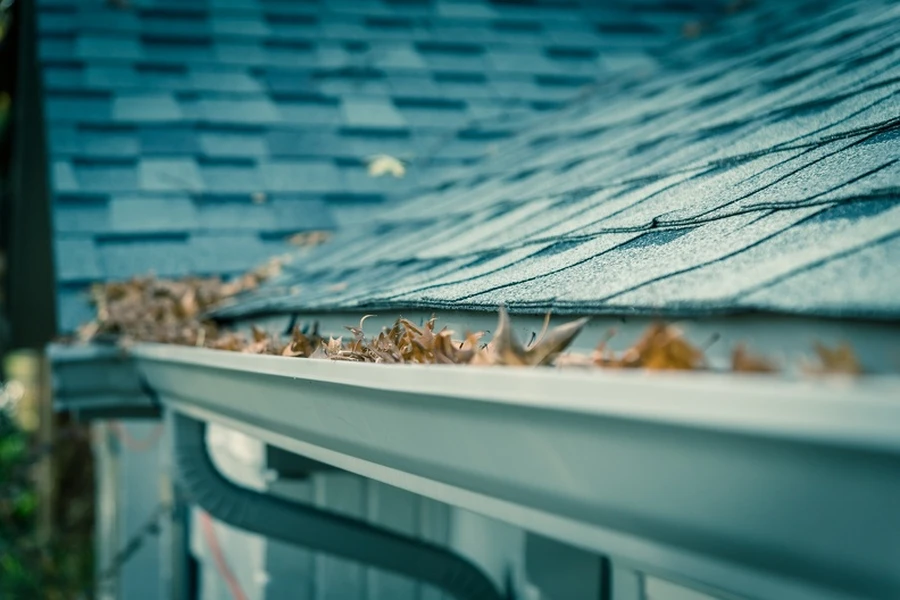How Gutter Cleaning Protects Your Home From Structural Issues in Manor, TX